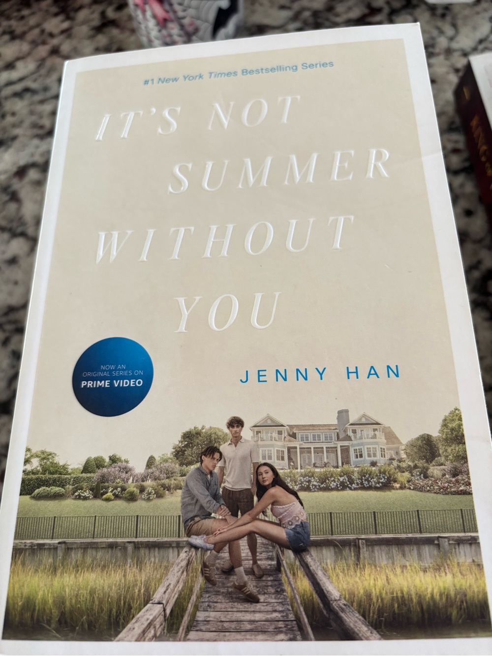 It's Not Summer Without You book